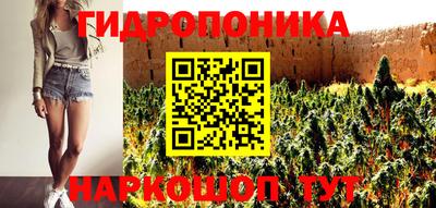 крисы Пыть-Ях