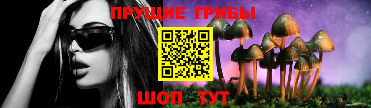 Сибай  где купить наркотик  Галлюциногенные грибы GOLDEN TEACHER  Вход с VPN  Псилоцибиновые грибы MAGIC MUSHROOMS 